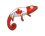 cameleon Canada
